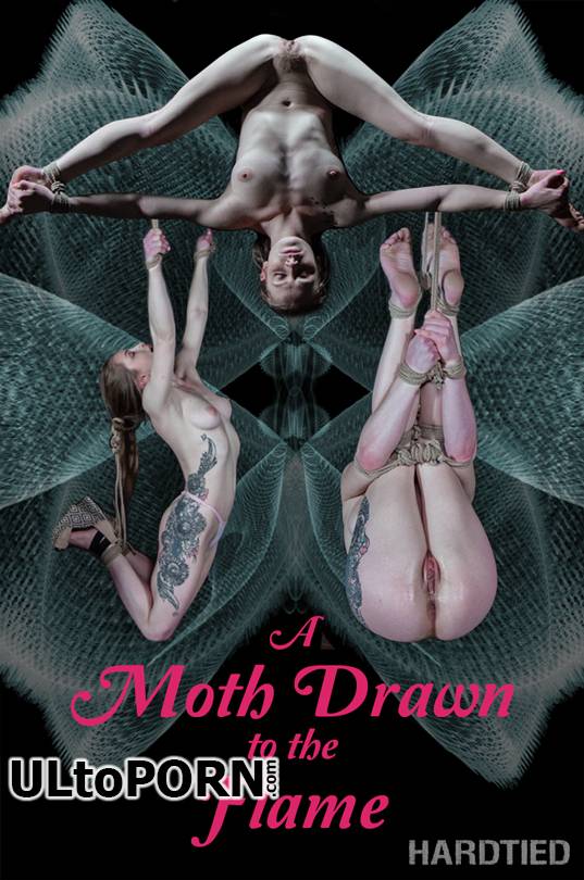 HardTied.com: Cora Moth - A Moth Drawn To The Flame [2.12 GB / HD / 720p] (Humiliation)