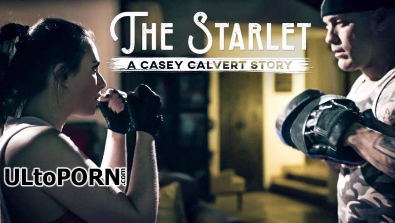 PureTaboo.com: Casey Calvert - The Starlet: A Casey Calvert Story [338 MB / SD / 356p] (Incest)