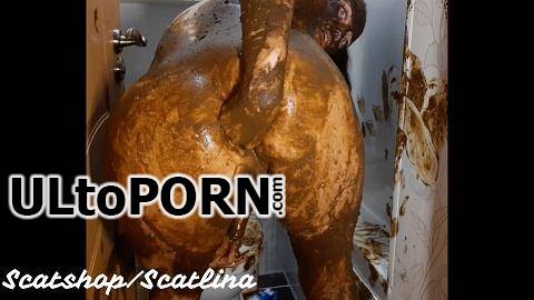 ScatShop.com: ScatLina - Dirty toilet (Part 2) [1016 MB / FullHD / 1080p] (Scat)