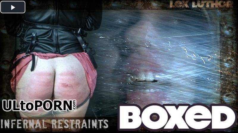 InfernalRestraints.com: Lex Luthor - Boxed [2.12 GB / HD / 720p] (Humiliation)
