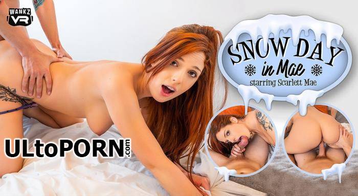 WankzVR.com: Scarlett Mae - Snow Day In Mae [8.27 GB / UltraHD 2K / 1920p] (Oculus)