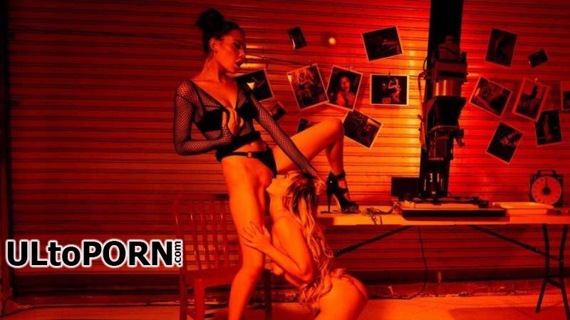 WhenGirlsPlay.com, Twistys.com: Sabina Rouge, Lilly Bell - TOTM - In The Darkroom [500 MB / FullHD / 1080p] (Lesbian)