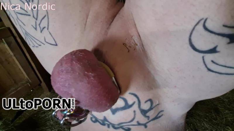 Nica Nordic: Branding On The Scrotum [278.89 MB / FullHD / 1080p] (Femdom)