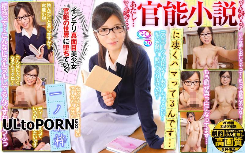 Satoshi Ichinose - GOPJ-214 A [2.05 GB / UltraHD / 1920p] (JAV VR)