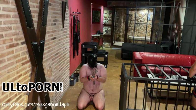 Missgabriellaph: Teased And Humiliated And Whipped And Back To Your Cage [233.69 MB / FullHD / 1080p] (Femdom)