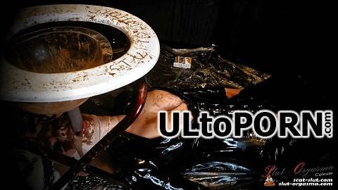 ScatShop.com: SlutOrgasma - Extreme shit and puke swallowing toilet slave [1.73 GB / FullHD / 1080p] (Scat)
