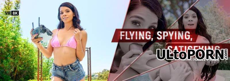 VRBangers.com: Harley Haze - Flying, Spying, Satisfying [7.36 GB / UltraHD 4K / 3072p] (Oculus)