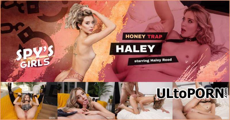 VRSpy.com: Haley Reed - Honey Trap Haley [25.1 GB / UltraHD 4K / 4000p] (Oculus)