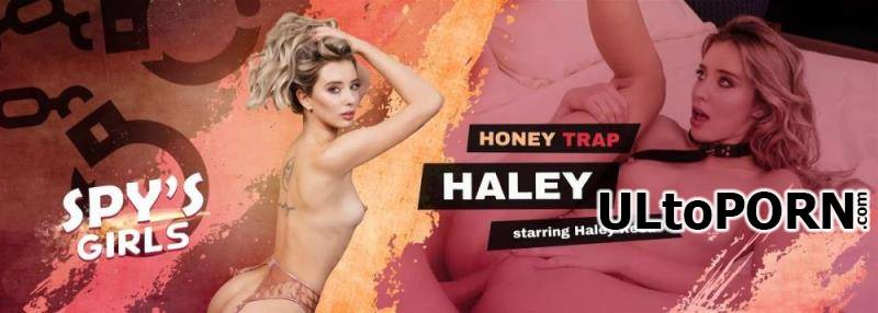 VRSpy.com: Haley Reed - Honey Trap Haley [9.36 GB / UltraHD 2K / 1920p] (Oculus)