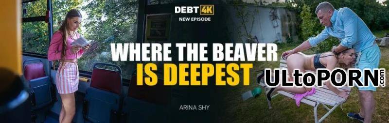 Debt4k.com, Vip4K.com: Arina Shy - Where the Beaver is Deepest [908 MB / SD / 540p] (Gonzo)